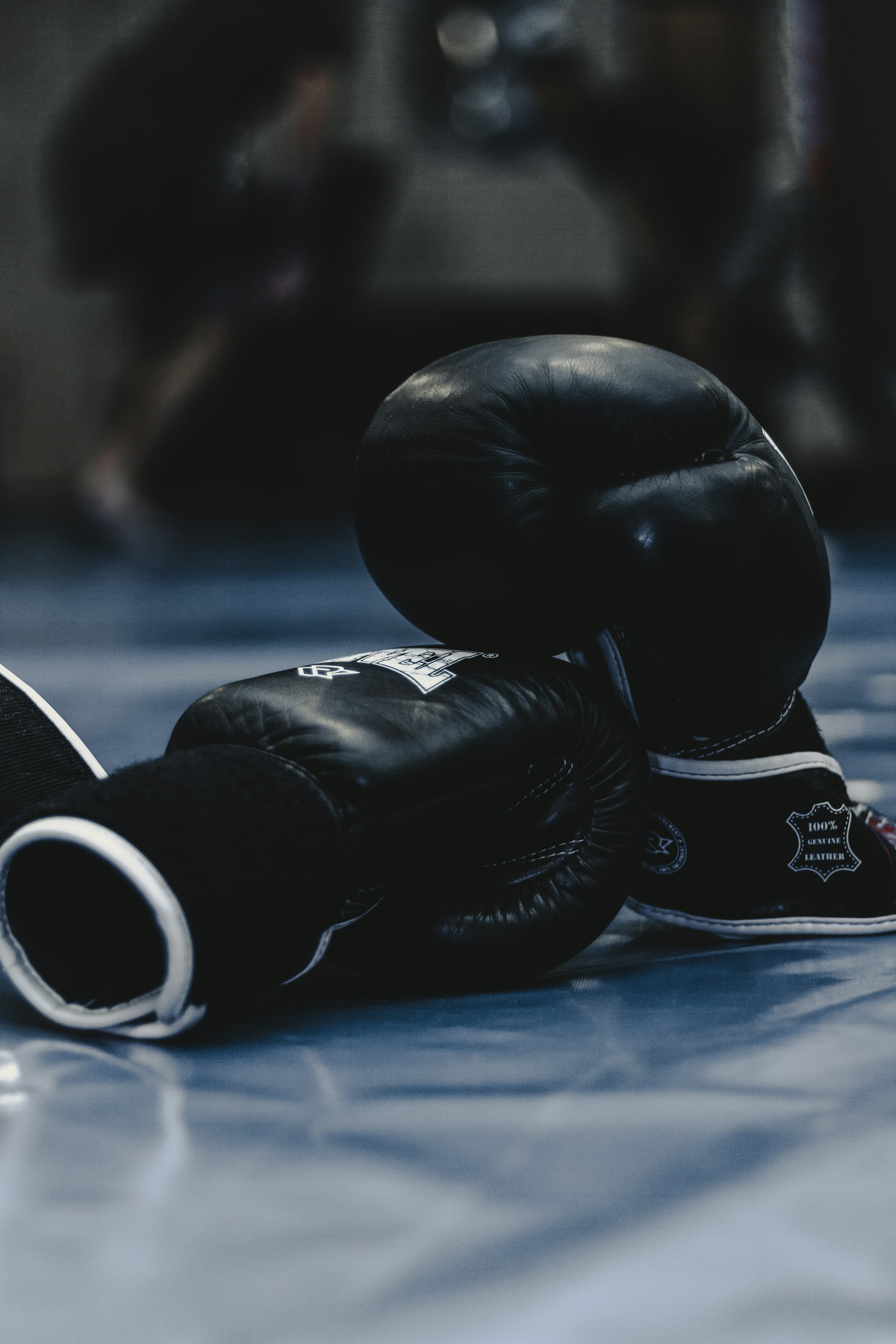 Kampfsport Training